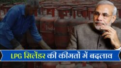 14.2 KG गैस सिलेंडर की नई कीमतें हुई जारी, जानिए आज का लेटेस्ट रेट LPG Gas Cylinder Price