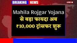 Mahila Rojgar Yojana Latest Update: महिलाओं के लिए बड़ी राहत — ₹10,000 की राशि सीधे खाते में ट्रांसफर, पेमेंट लिस्ट चेक करें नाम