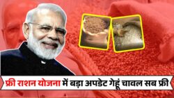 Ration Card Update : अब राशन कार्ड धारकों को हर महीने फ्री में गेहूं, चावल, बाजरा और नमक मिलेगा- नई लिस्ट हुआ जारी।